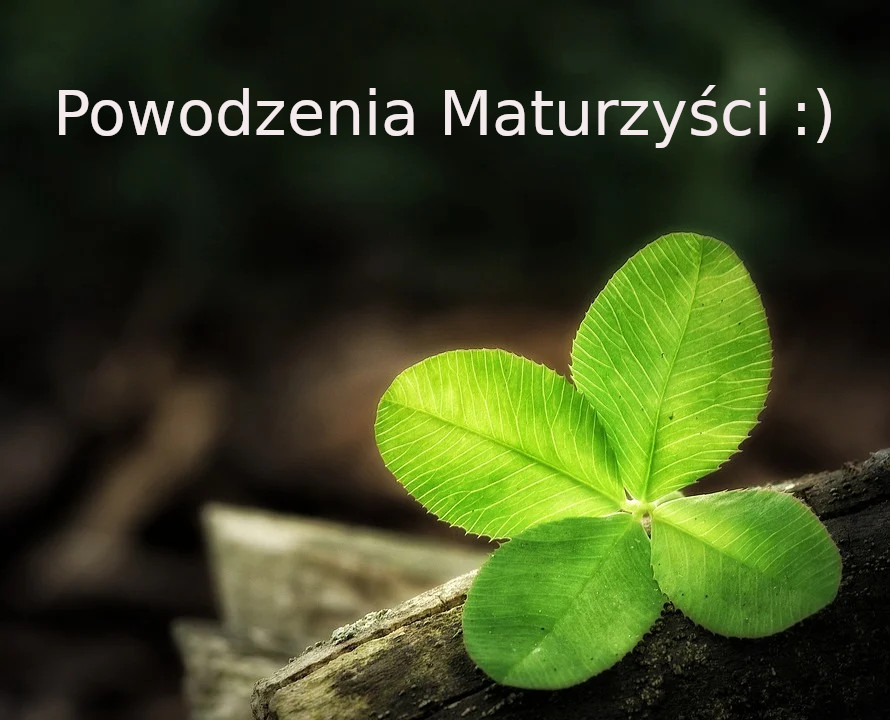 2021 Powodzenia Maturzysci