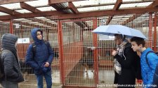 20190314-Pomoc_dla_bezdomnych_zwierzat-3