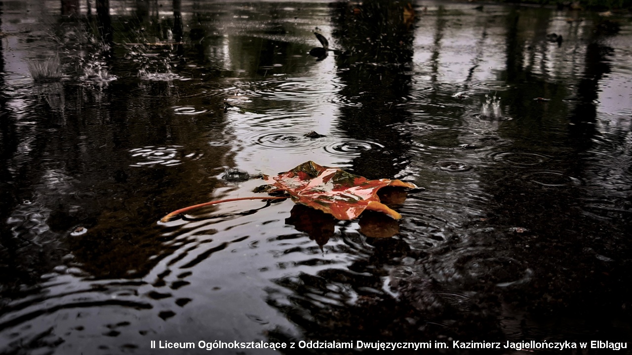 20191128 Konkurs fotograficzny ODN