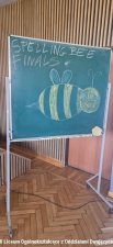 20240411-Konkurs_Speeling_Bee-01