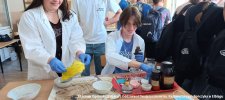 20240605-Drzwi_Otwarte-206