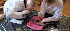 20240605-Drzwi_Otwarte-219