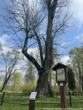 20250429-SCONE-oboz_na_Litwie-14